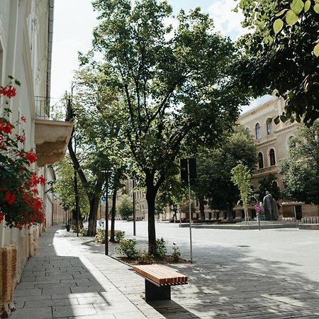 Contessa Apartment Cluj Napoca Экстерьер фото