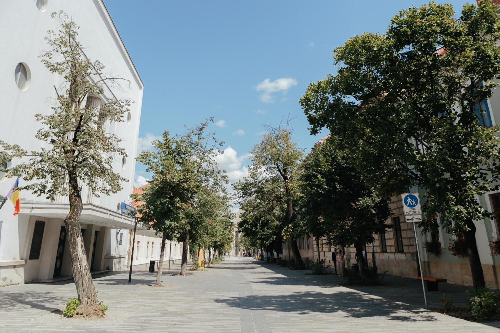 Contessa Apartment Cluj Napoca Экстерьер фото