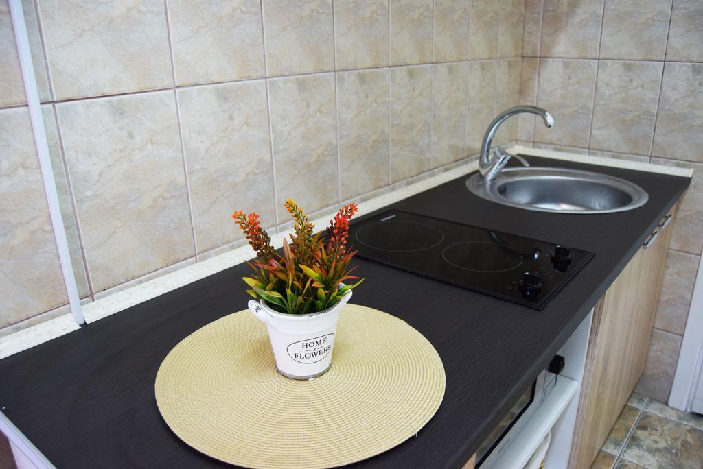 Contessa Apartment Cluj Napoca Экстерьер фото